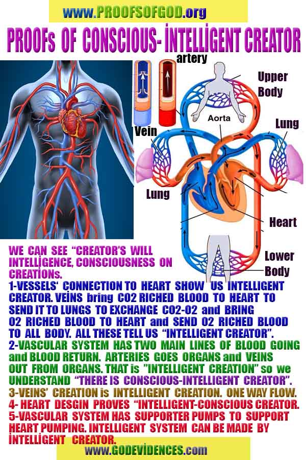 proofs of god, evidences of God       