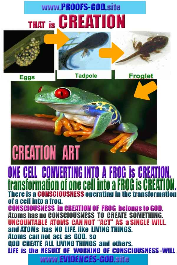 proofs of god, evidences of God       