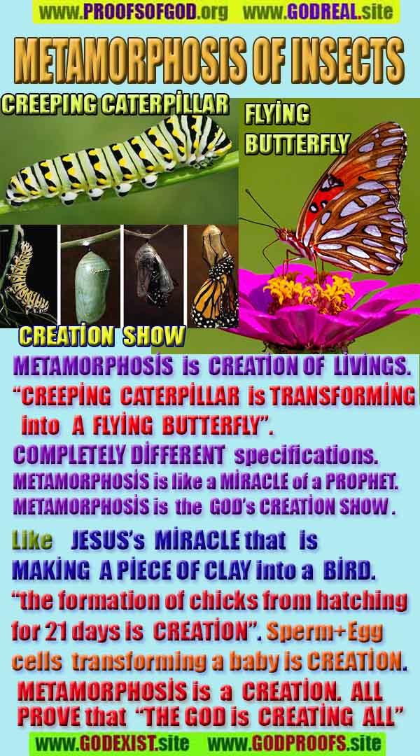 proofs of god, evidences of God       