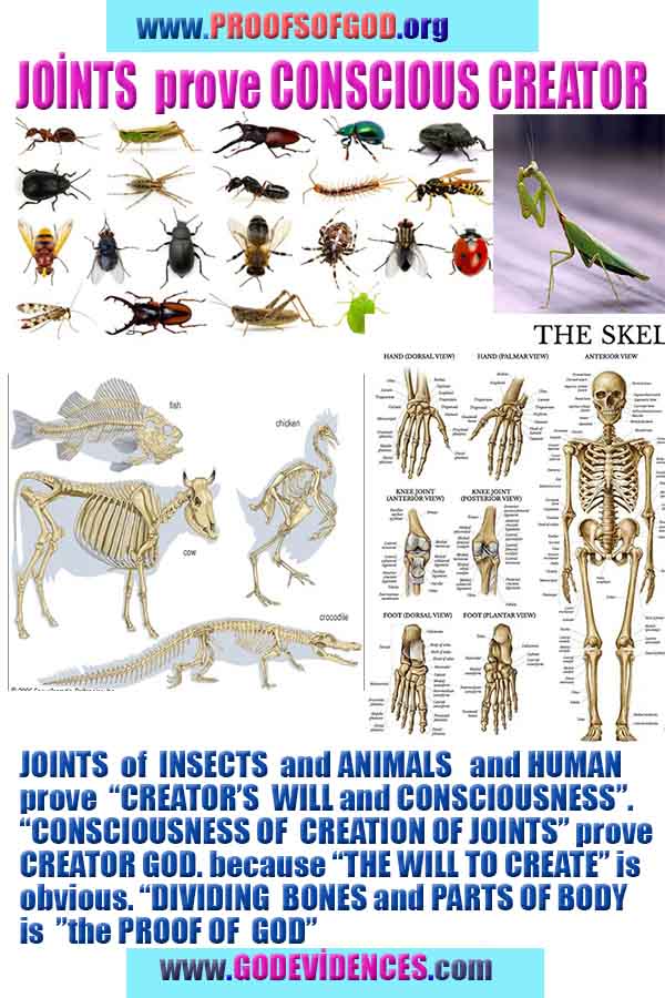 proofs of god, evidences of God scientific proof of God  