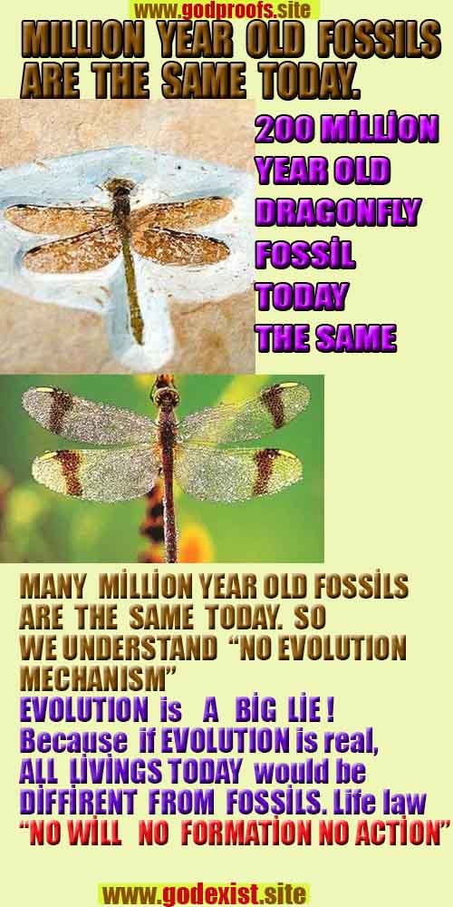 proofs, signs, evidences of God