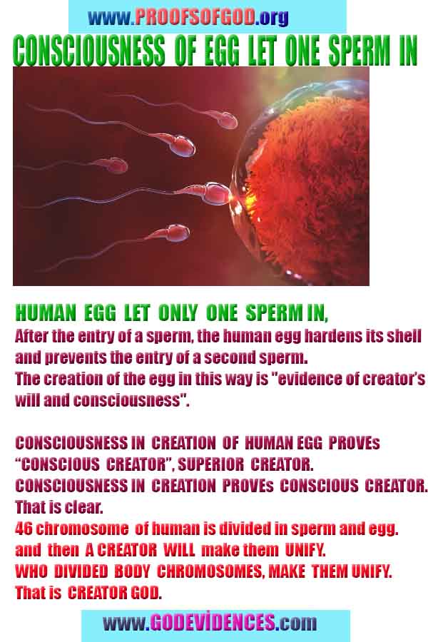 proofs of god, evidences of god  